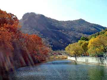 正版澳门天天开彩大全，深圳到银川物流公司